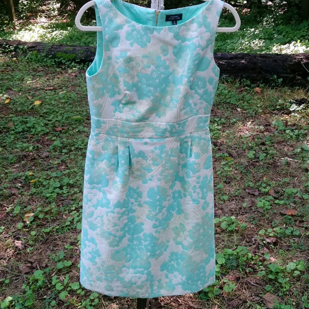 Tahari Arthur S. Levine dress.